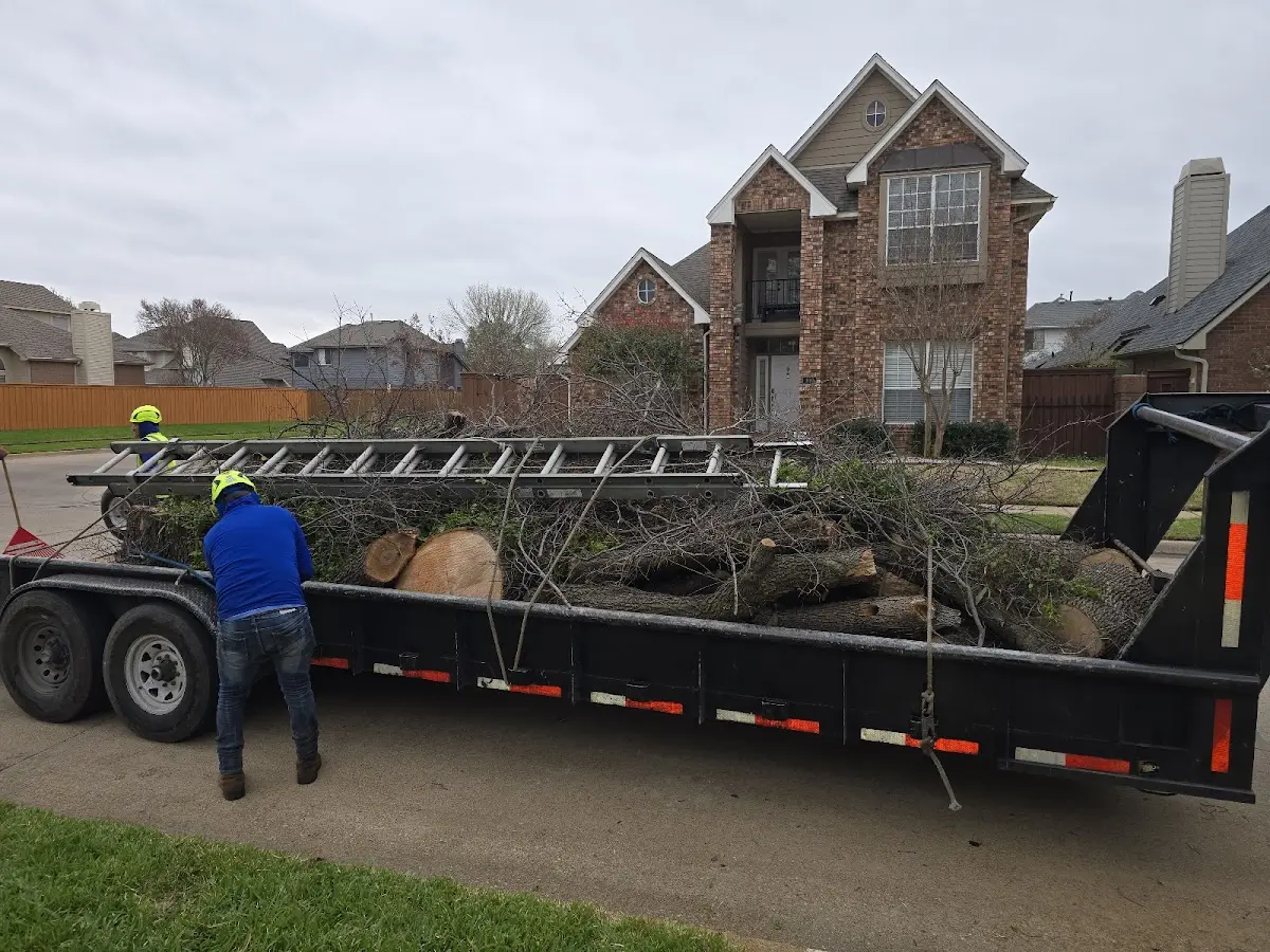 Expert Crown Reduction with proper safety equipment in Lick Creek